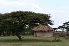 Lac Hora � Awasa - 