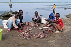 Lac Hora � Awasa - 