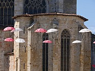 Larresingle - Condom