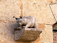 La Romieu - La Romieu