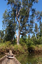 Île Sainte-Marie, cte Est - 	