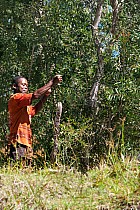 Île Sainte-Marie, cte Est - Anguille