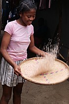 Île Sainte-Marie, au Nord dAmbodifototra -  