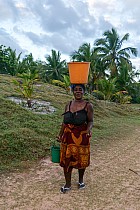 Île Sainte-Marie, au Nord dAmbodifototra -  