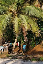 Île Sainte-Marie, au Nord dAmbodifototra -  