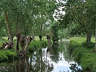 Marais poitevin - 