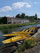 Marais poitevin - Coulon