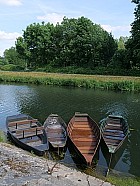 Marais poitevin - Coulon