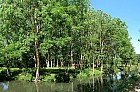 Marais poitevin - Canal du Grand coin