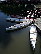 Marais poitevin - Saint-Sigismond