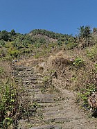trekking de Syabru (1450 m ) à Gatlang (2300 m), 6h de marche y compris pause déjeuner - Dnivele de 800 mtres en 2h