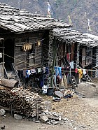 trekking de Syabru (1450 m ) à Gatlang (2300 m), 6h de marche y compris pause déjeuner - 