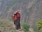 trekking de Syabru (1450 m ) à Gatlang (2300 m), 6h de marche y compris pause déjeuner - Ramasseuse d?orties