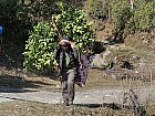 trekking de Gatlang (2300 m) au col (3750 m) et Somdang (3270 m) - 