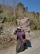 trekking de Gatlang (2300 m) au col (3750 m) et Somdang (3270 m) - 