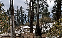 trekking de Somdang (3270 m) � Tipling (2100m) par un col � 3900 m - 