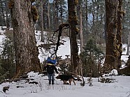 trekking de Somdang (3270 m) � Tipling (2100m) par un col � 3900 m - Un de nos3 sherpas