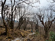 trekking de Somdang (3270 m) � Tipling (2100m) par un col � 3900 m - 