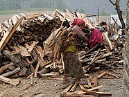 trekking de Tipling � Chalish Gaon (1700m) � 3h / +250 / -600 - 