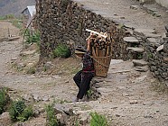 trekking de Tipling � Chalish Gaon (1700m) � 3h / +250 / -600 - 