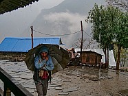 trekking de Tipling � Chalish Gaon (1700m) � 3h / +250 / -600 - 