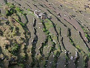 trekking de Chalish Gaon (1700m)  Darkah Gaon - 