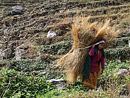 trekking de Chalish Gaon (1700m)  Darkah Gaon - 