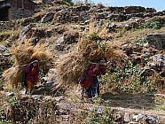 trekking de Chalish Gaon (1700m)  Darkah Gaon - 