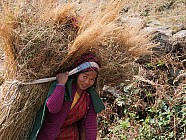 trekking de Chalish Gaon (1700m)  Darkah Gaon - 