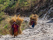 trekking de Chalish Gaon (1700m)  Darkah Gaon - 