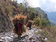 trekking de Chalish Gaon (1700m)  Darkah Gaon - 
