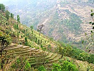 trekking de Chalish Gaon (1700m)  Darkah Gaon - 