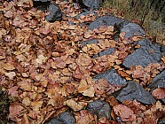 trekking de Chalish Gaon (1700m)  Darkah Gaon - 