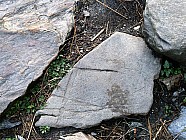 Pierres en forme de visages et papillons - 