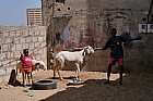 Ngor (Nord de Dakar) - 