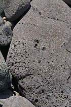 Ngor (Nord de Dakar) - 