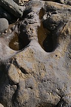 Ngor (Nord de Dakar) - 