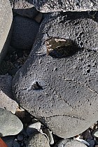 Ngor (Nord de Dakar) - 