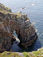 cap de la Chèvre-Goulien - 