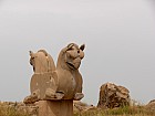 Persépolis - Chapiteau Homa