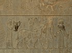 Persépolis - Armniens et cheval