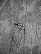 Persépolis - Apadana