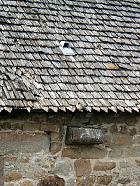 du Mont Saint-Michel à Saint-Malo  - Un moineau posé sur un tavaillon