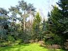 Jardin Albert Kahn - 