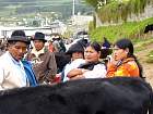 Otavalo-Cotapaxi - 