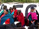 Baos-Cuenca - Guamote : march aux bestiaux