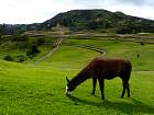 Baos-Cuenca - Lama