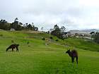 Baos-Cuenca - Ingapirca