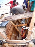 Ambatoloaka et Tanikely - 