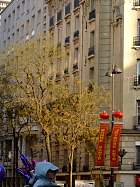 Nouvel an chinois 2011 - 